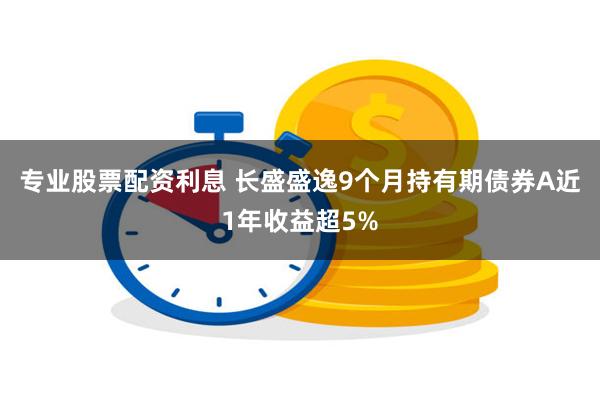 专业股票配资利息 长盛盛逸9个月持有期债券A近1年收益超5%