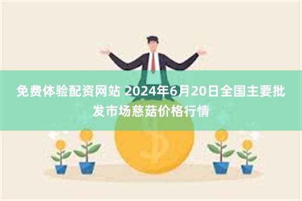 免费体验配资网站 2024年6月20日全国主要批发市场慈菇价格行情