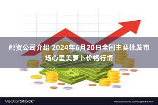 配资公司介绍 2024年6月20日全国主要批发市场心里美萝卜价格行情