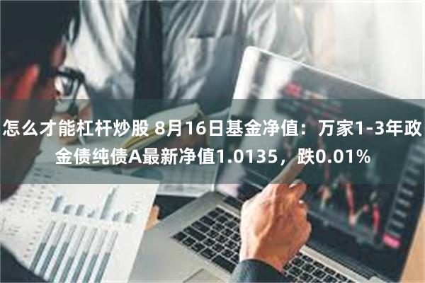 怎么才能杠杆炒股 8月16日基金净值：万家1-3年政金债纯债A最新净值1.0135，跌0.01%