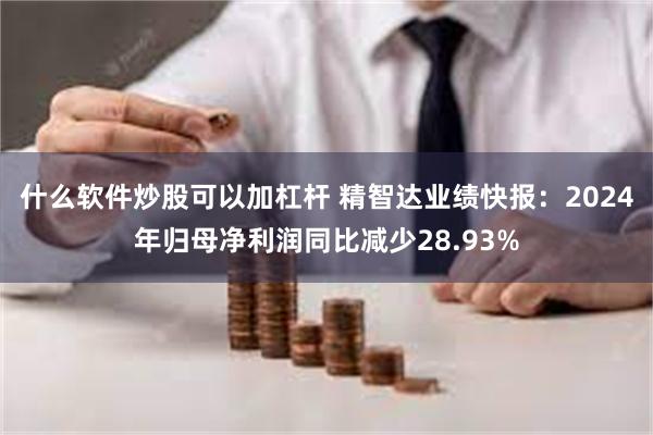 什么软件炒股可以加杠杆 精智达业绩快报：2024年归母净利润同比减少28.93%